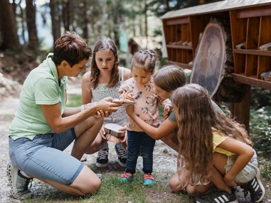 Ausflugsziel: Wald der Sinne