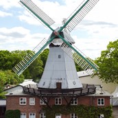 Ausflugsziel - Braaker Mühle - Braaker Mühle