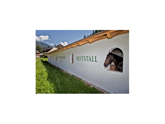 Ausflugsziel: Pferdestall Trattlerhof - Trattlers Ponyfarm 