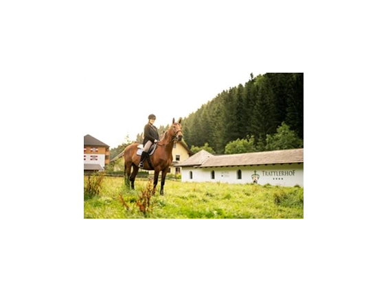 Ausflugsziel: Reiten am Trattlerhof - Trattlers Ponyfarm 