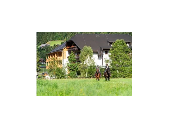 Ausflugsziel: Reiten am Trattlerhof - Trattlers Ponyfarm 