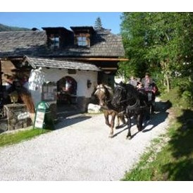 Ausflugsziel: Pferdekutschen Erlebnisfahrten - Trattlers Ponyfarm 