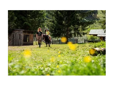 Ausflugsziel: Trattlers Ponyfarm 