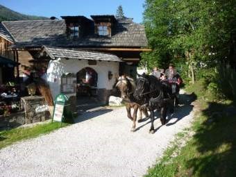 Trattlers Ponyfarm  Highlights beim Ausflugsziel Pferdekutschen-Erlebnisfahrten