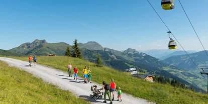 Trip with children - Niedernsill - Großarltal - Tal der Almen