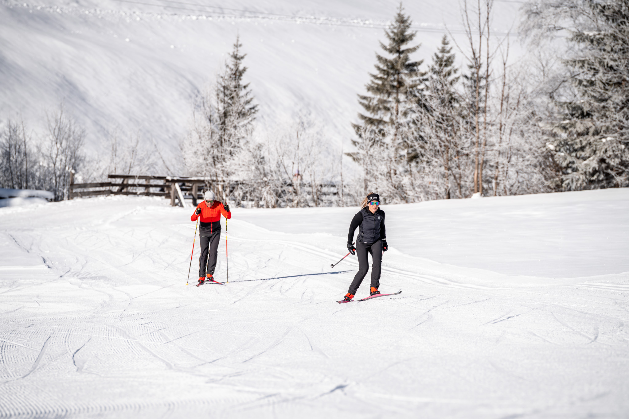 Ausflugsziel: Großarltal - Tal der Almen