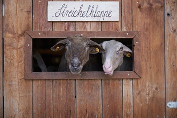 Ausflugsziel: Schafe, Streichelzoo - Reit- und Wildpark Weil