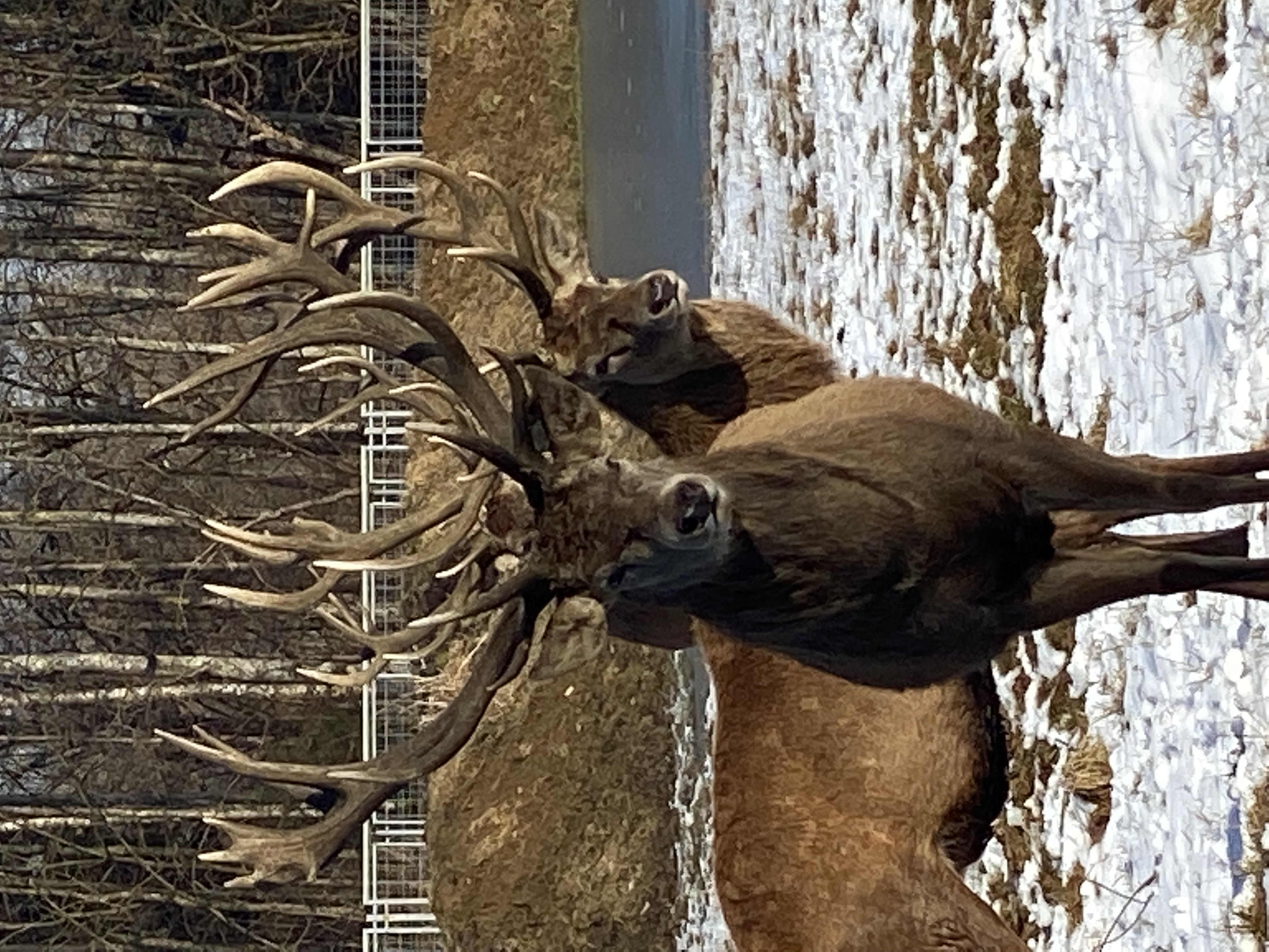 Ausflugsziel: Reit- und Wildpark Weil