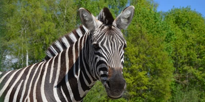 Reis met kinderen - Gersthofen - Reit- und Wildpark Weil