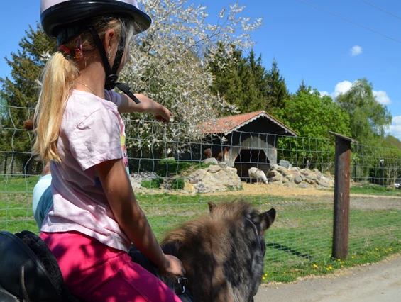 Ausflugsziel: Reit- und Wildpark Weil