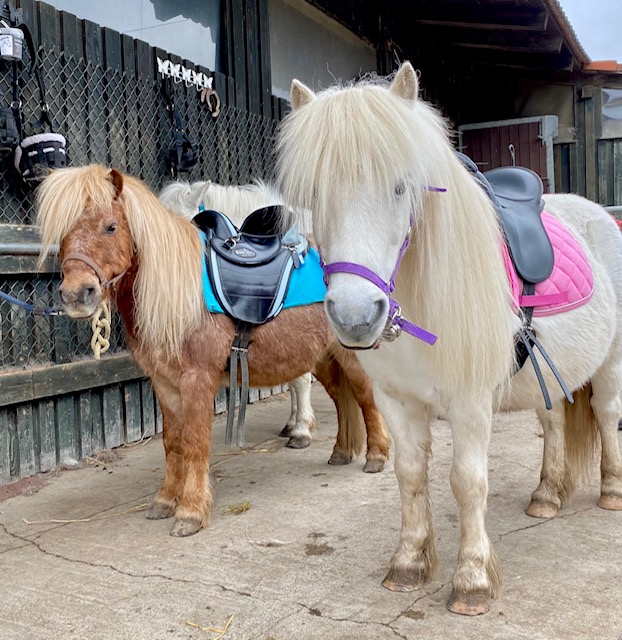 Ausflugsziel: Reit- und Wildpark Weil