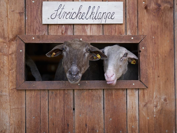 Ausflugsziel: Reit- und Wildpark Weil