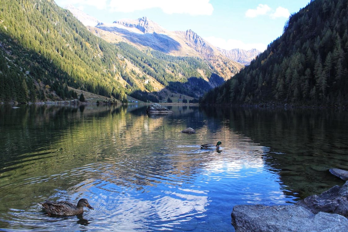 Ausflugsziel: der Riesachsee - National Geographic Themenweg Wilde Wasser