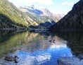 Ausflugsziel: der Riesachsee - National Geographic Themenweg Wilde Wasser
