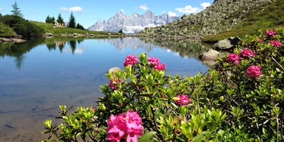 Viaggio con bambini - Irdning - Der "Spiegelsee" auf der Reiteralm - im Vordergrund der "Almrausch" in seiner Pracht - Reiteralm Bergbahnen -  Sommer-Seilbahn Preunegg Jet