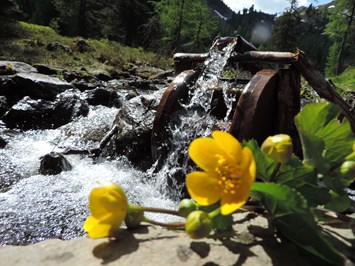 Reiteralm Bergbahnen -  Sommer-Seilbahn Preunegg Jet Highlights beim Ausflugsziel Themenweg "Stille Wasser"