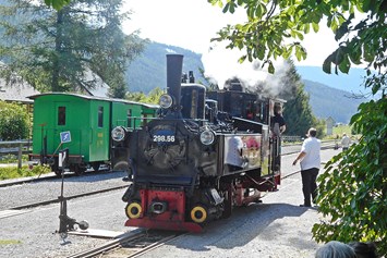 Ausflugsziel: Dampflokomotive 298.56 "Mariapfarr" beim Rangieren im Bahnhof Mauterndorf - Taurachbahn