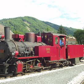 Ausflugsziel: Heeresfeldbahn-Dampflokomotive 699.01 der Taurachbahn - Taurachbahn