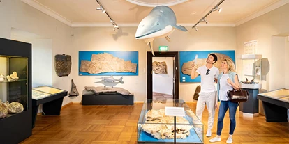 Ausflug mit Kindern - PLZ 5425 (Österreich) - Museum Burg Golling