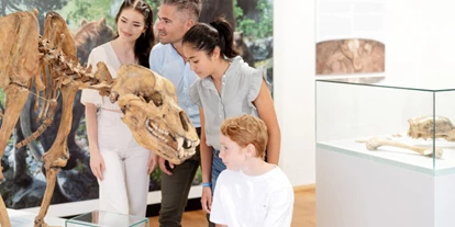 Ausflug mit Kindern - PLZ 5425 (Österreich) - Museum Burg Golling