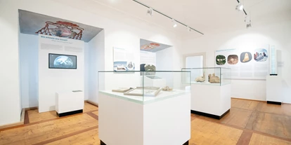 Ausflug mit Kindern - PLZ 5425 (Österreich) - Museum Burg Golling
