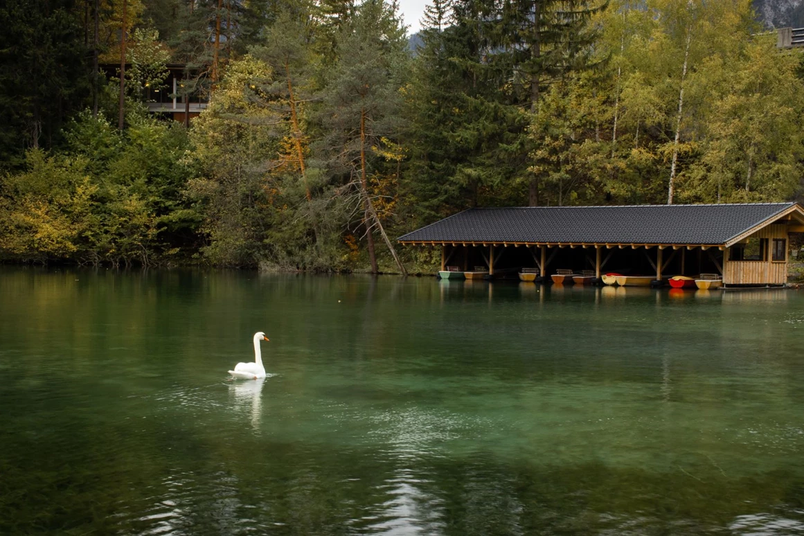 Ausflugsziel: Fernsteinsee