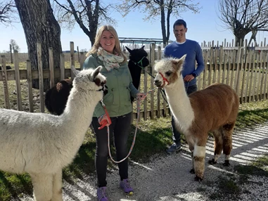 Ausflugsziel: Alpakawanderung mit der ganzen Familie
