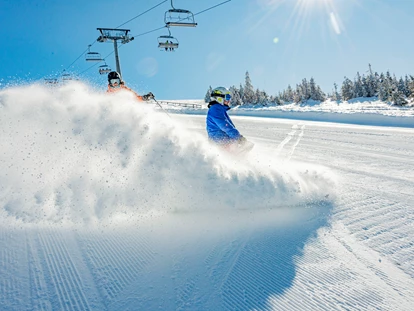 Ausflug mit Kindern - Mitterbach-Seerotte - Skigebiet Stuhleck - alle Anlagen in Betrieb!