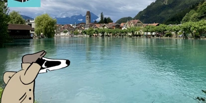 Ausflug mit Kindern - Veranstaltung: Schnitzeljagd - Schweiz - Detektiv-Trail Interlaken