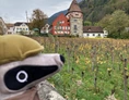Ausflugsziel: Detektiv-Trail Vaduz