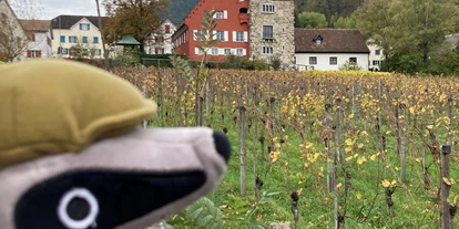 Ausflug mit Kindern - Mäder - Detektiv-Trail Vaduz