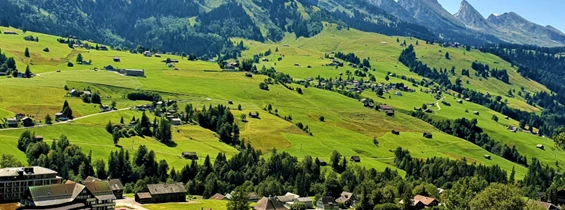 Ausflugsziel: Detektiv-Trail Wildhaus
