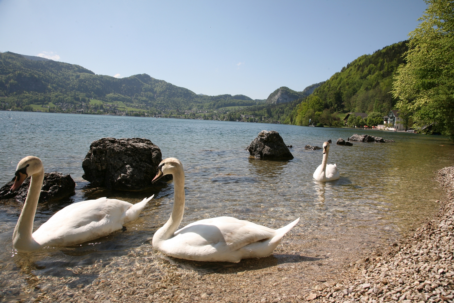Ausflugsziel: Gasthof & Hotel Fürberg