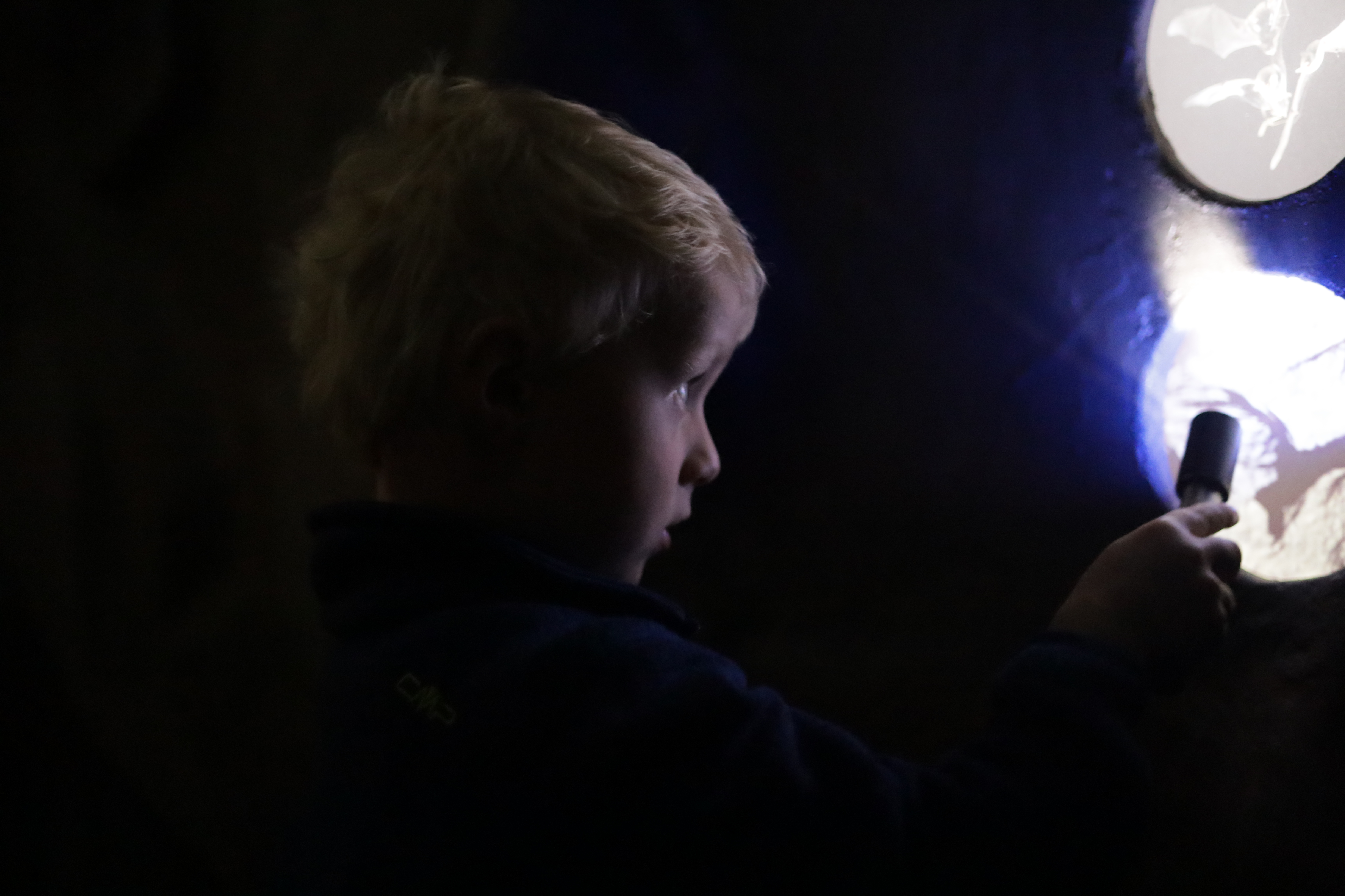 Trip with children - Högsdorf - Besuch in der Fledermaus-Erlebnisausstellung