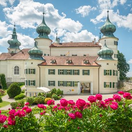 Ausflugsziel: Schloss Artstetten