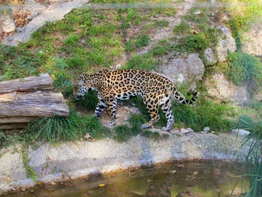 Ausflugsziel: Zoo Salzburg Hellbrunn