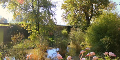 Ausflug mit Kindern - Schörfling am Attersee - Zoo Salzburg Hellbrunn