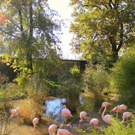 Ausflugsziel: Zoo Salzburg Hellbrunn