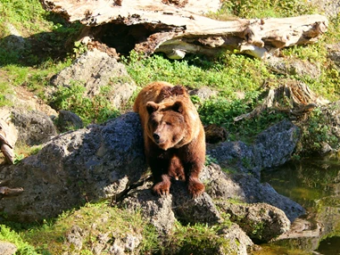 Ausflugsziel: Zoo Salzburg Hellbrunn