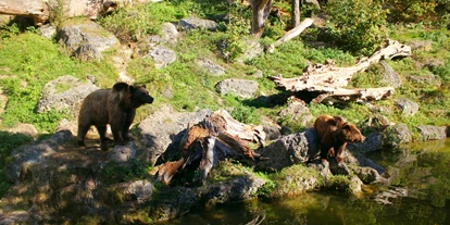 Ausflug mit Kindern - Schörfling am Attersee - Zoo Salzburg Hellbrunn