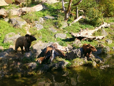 Ausflugsziel: Zoo Salzburg Hellbrunn