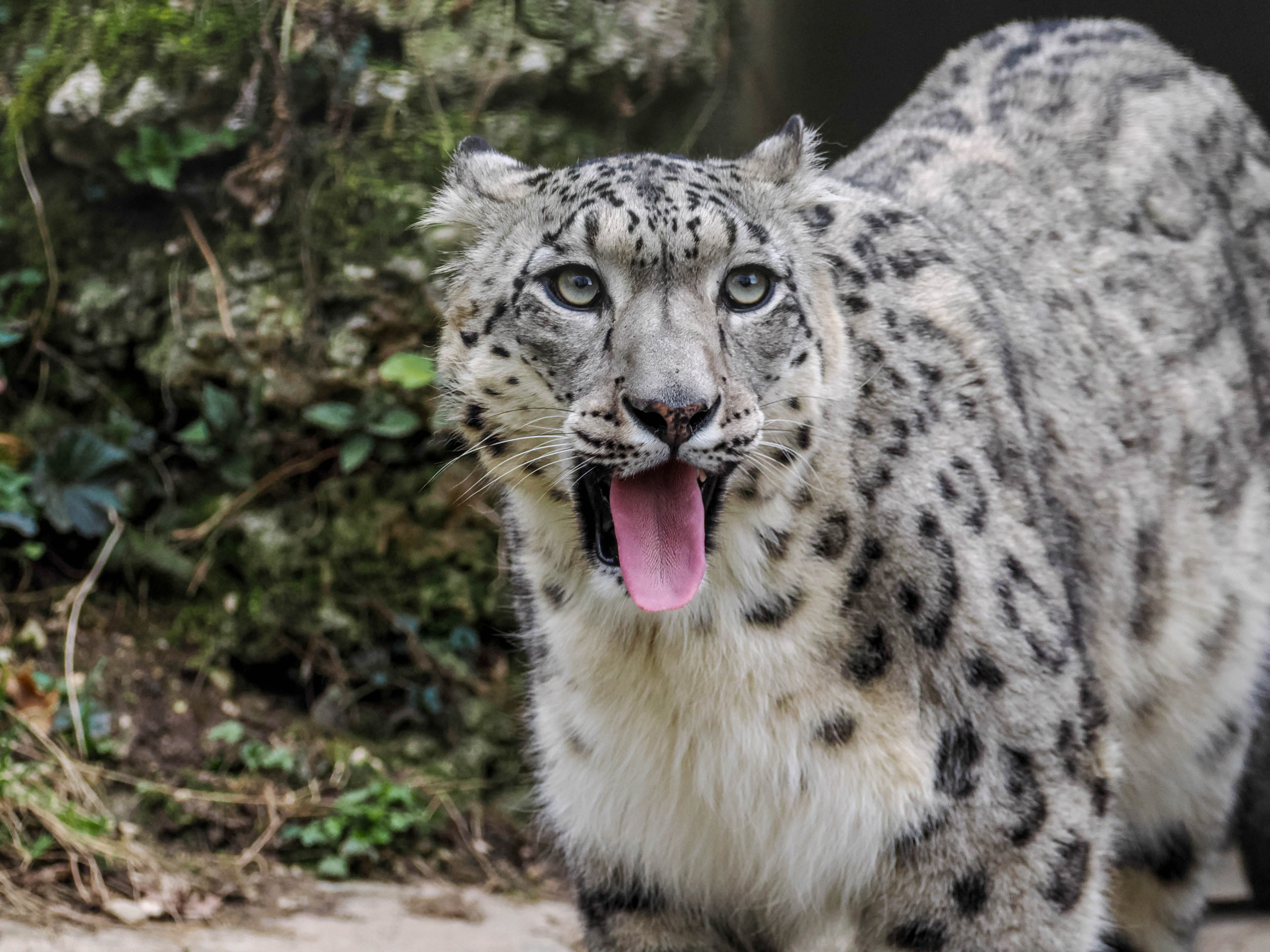 Ausflugsziel: Zoo Salzburg Hellbrunn