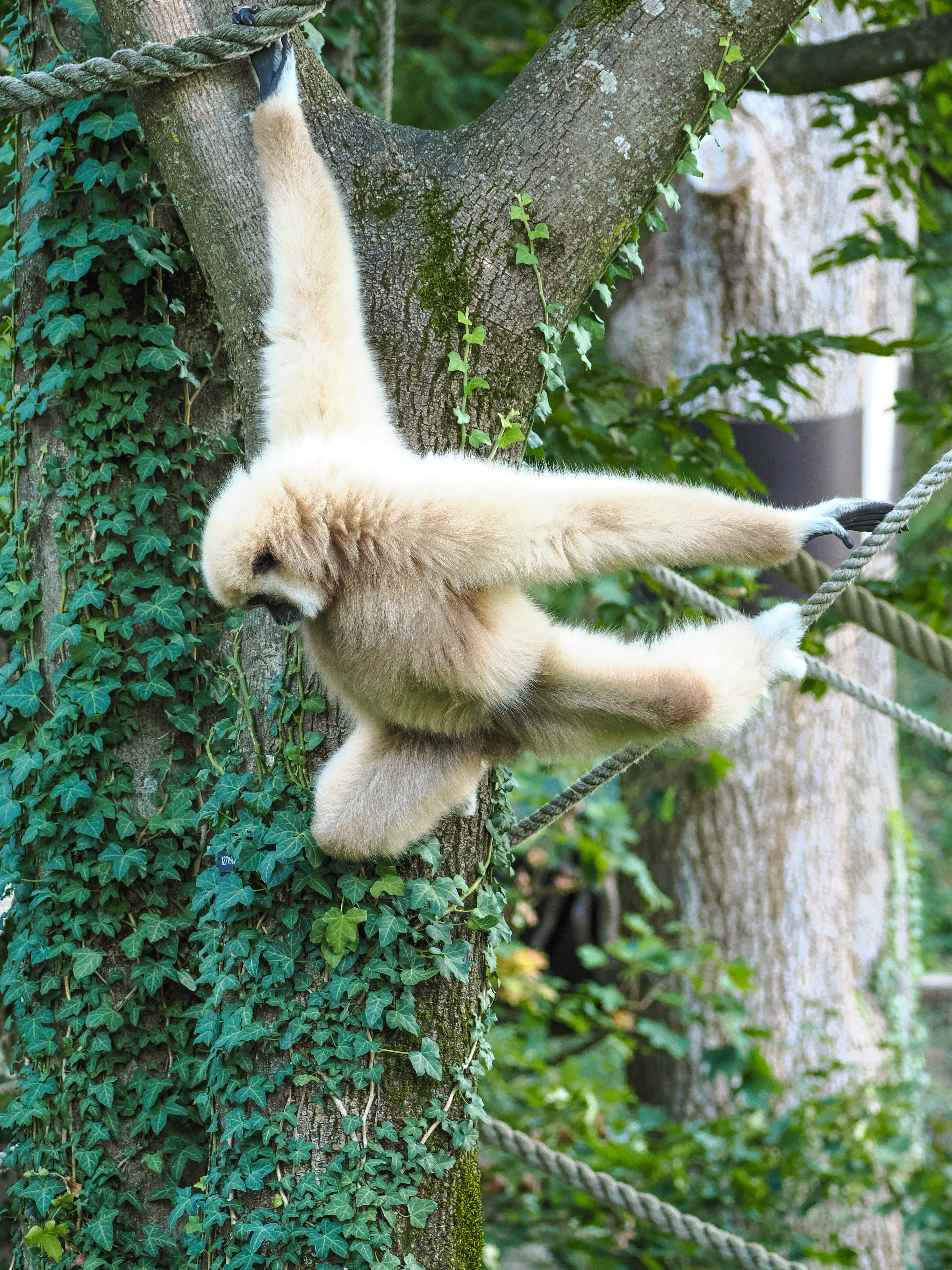 Ausflugsziel: Zoo Salzburg Hellbrunn