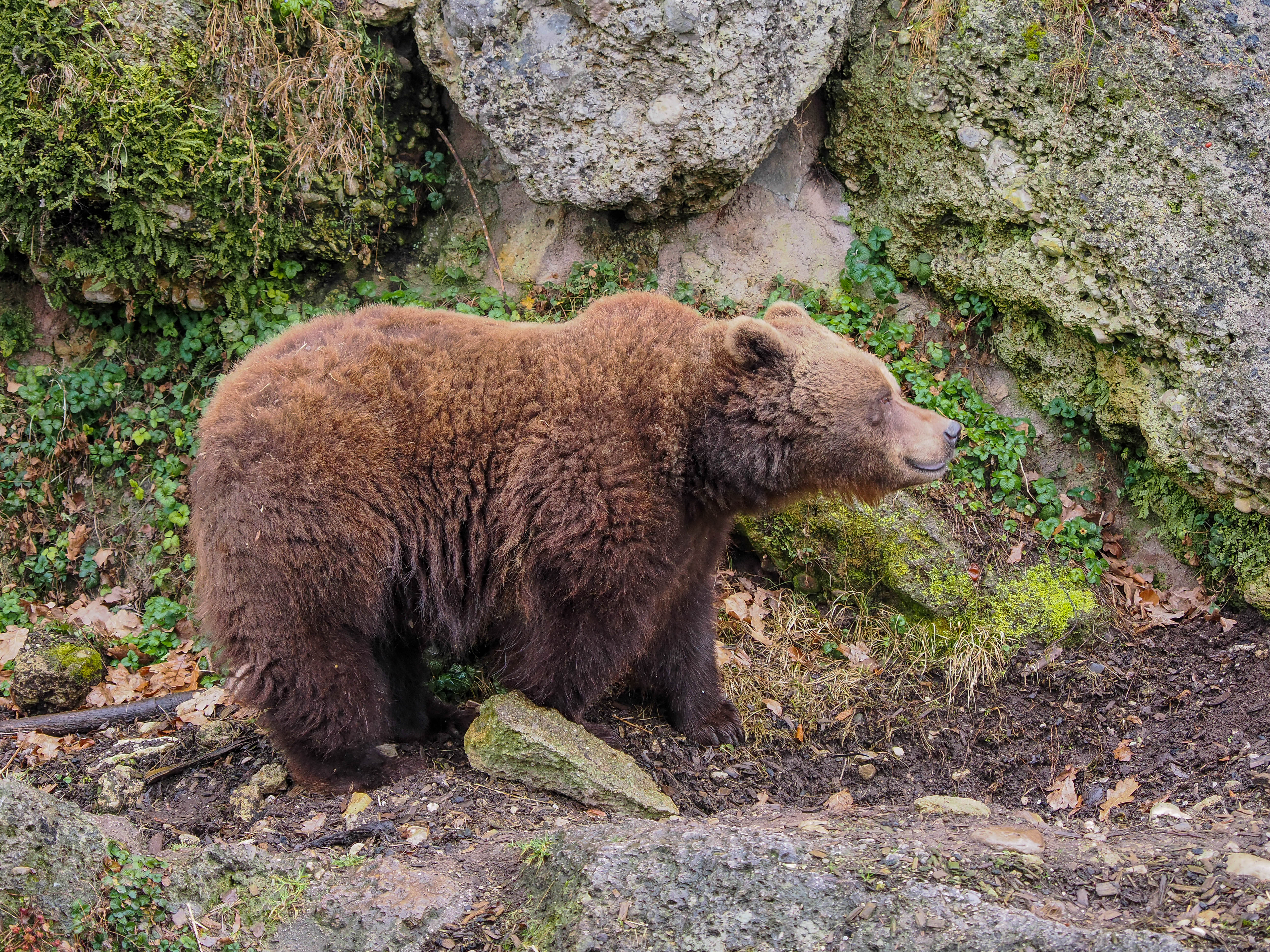 Ausflugsziel: Zoo Salzburg Hellbrunn