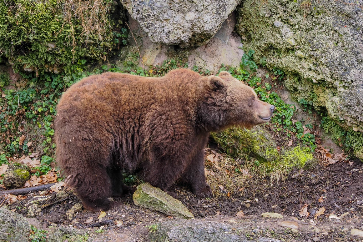 Ausflugsziel: Zoo Salzburg Hellbrunn
