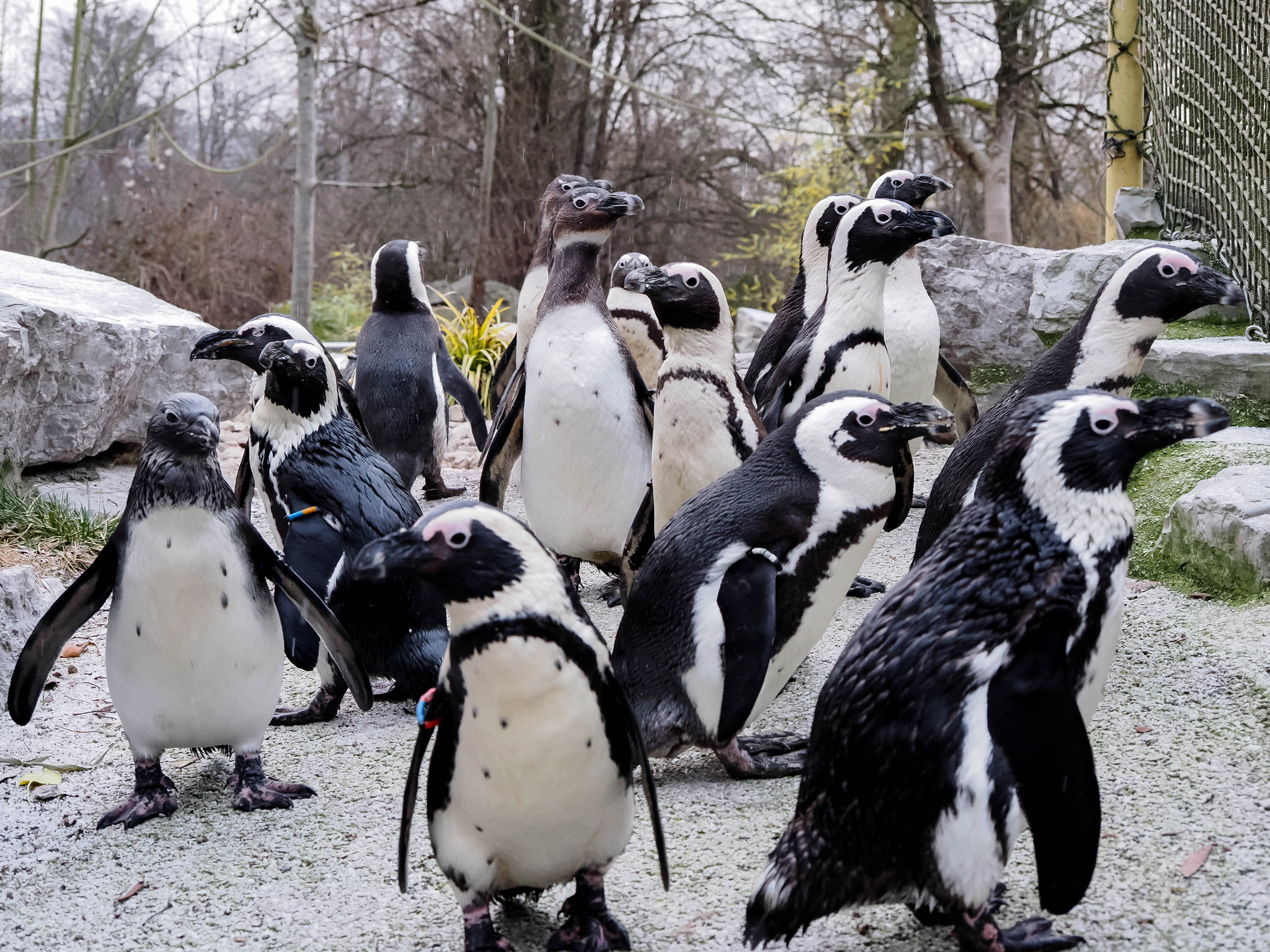 Ausflugsziel: Zoo Salzburg Hellbrunn