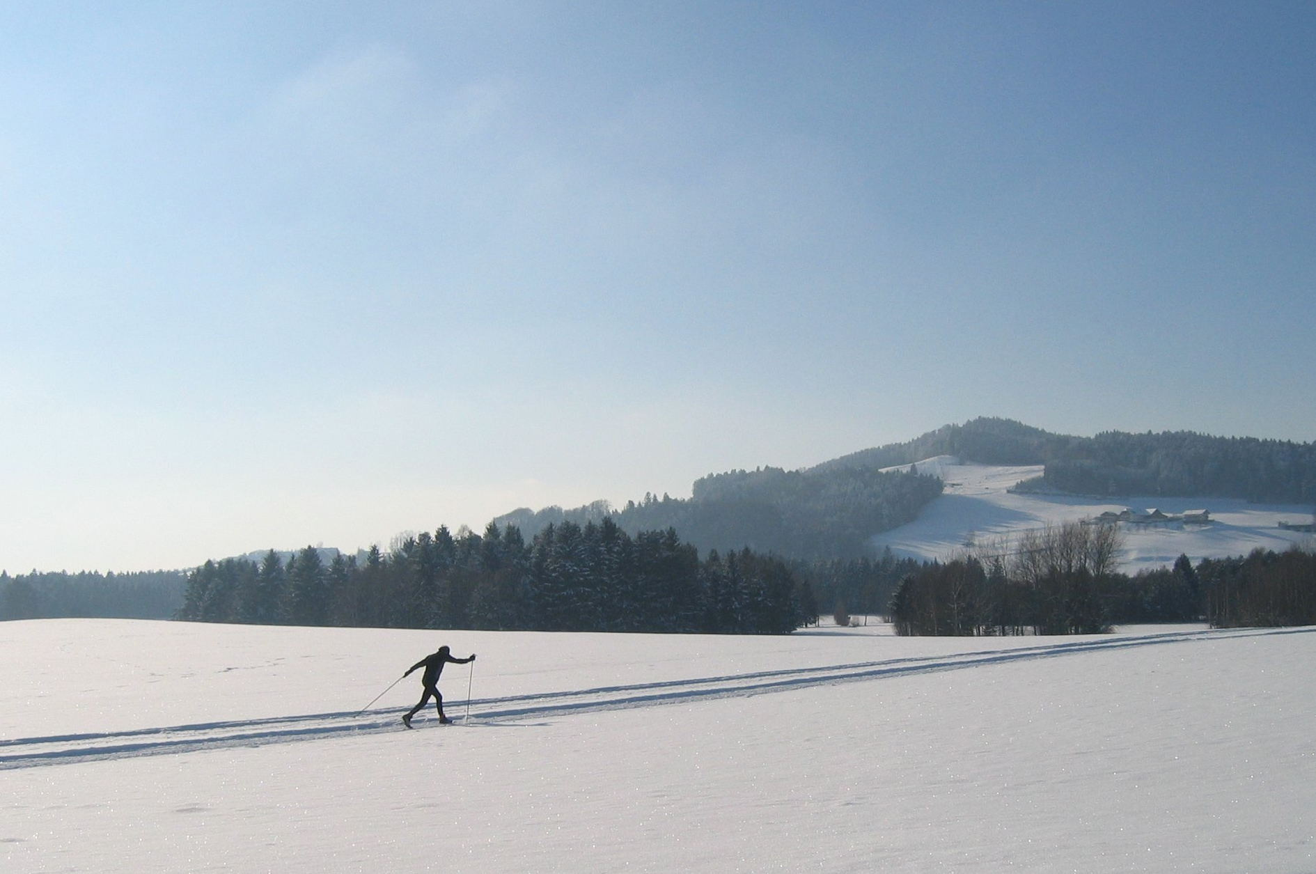 Urlaubstipp: Salzburger Seenland