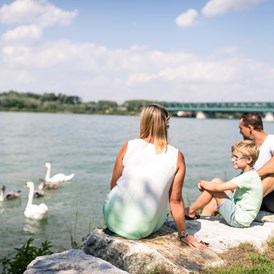 Urlaub: Tullner Donaulände - Tulln an der Donau