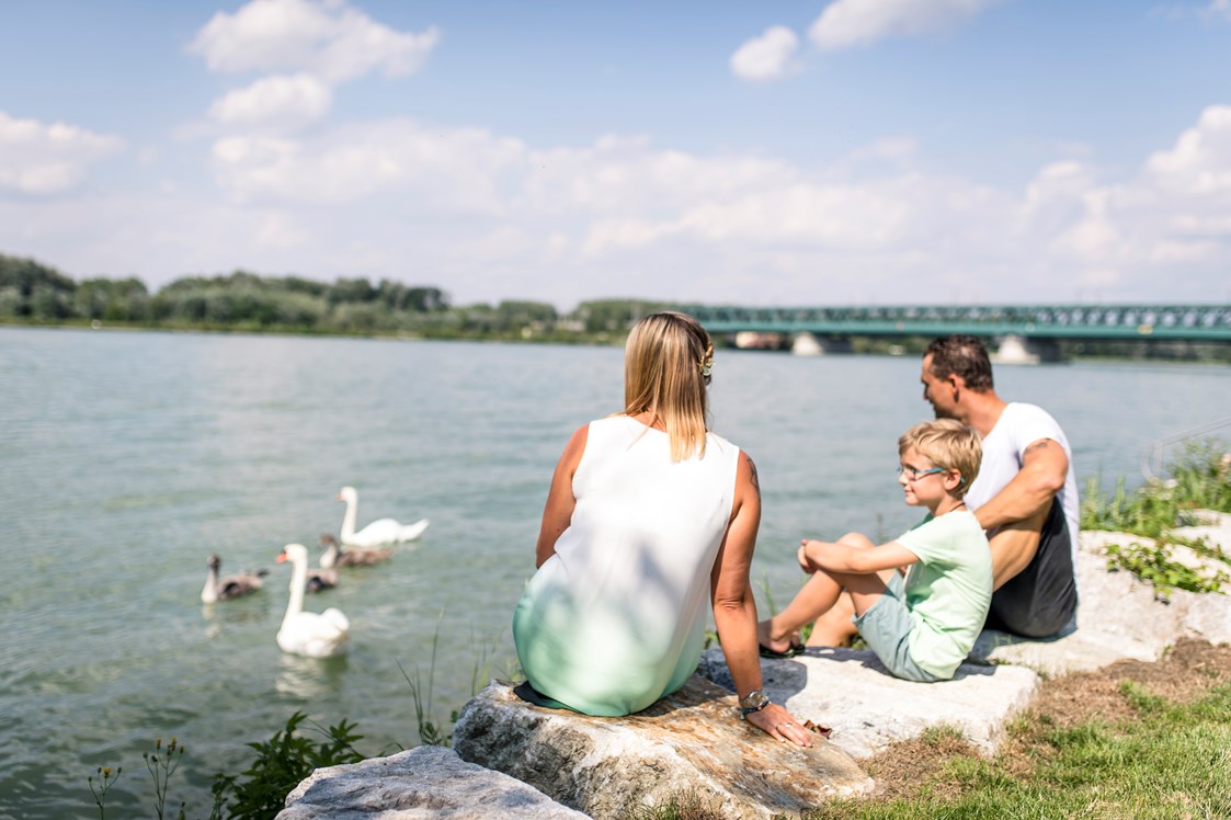 Urlaub: Tullner Donaulände - Tulln an der Donau
