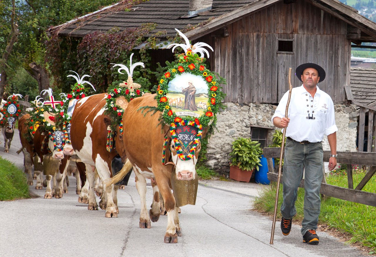 Erste Ferienregion im Zillertal wiederkehrende Events Almabtriebe in der ersten Ferienregion